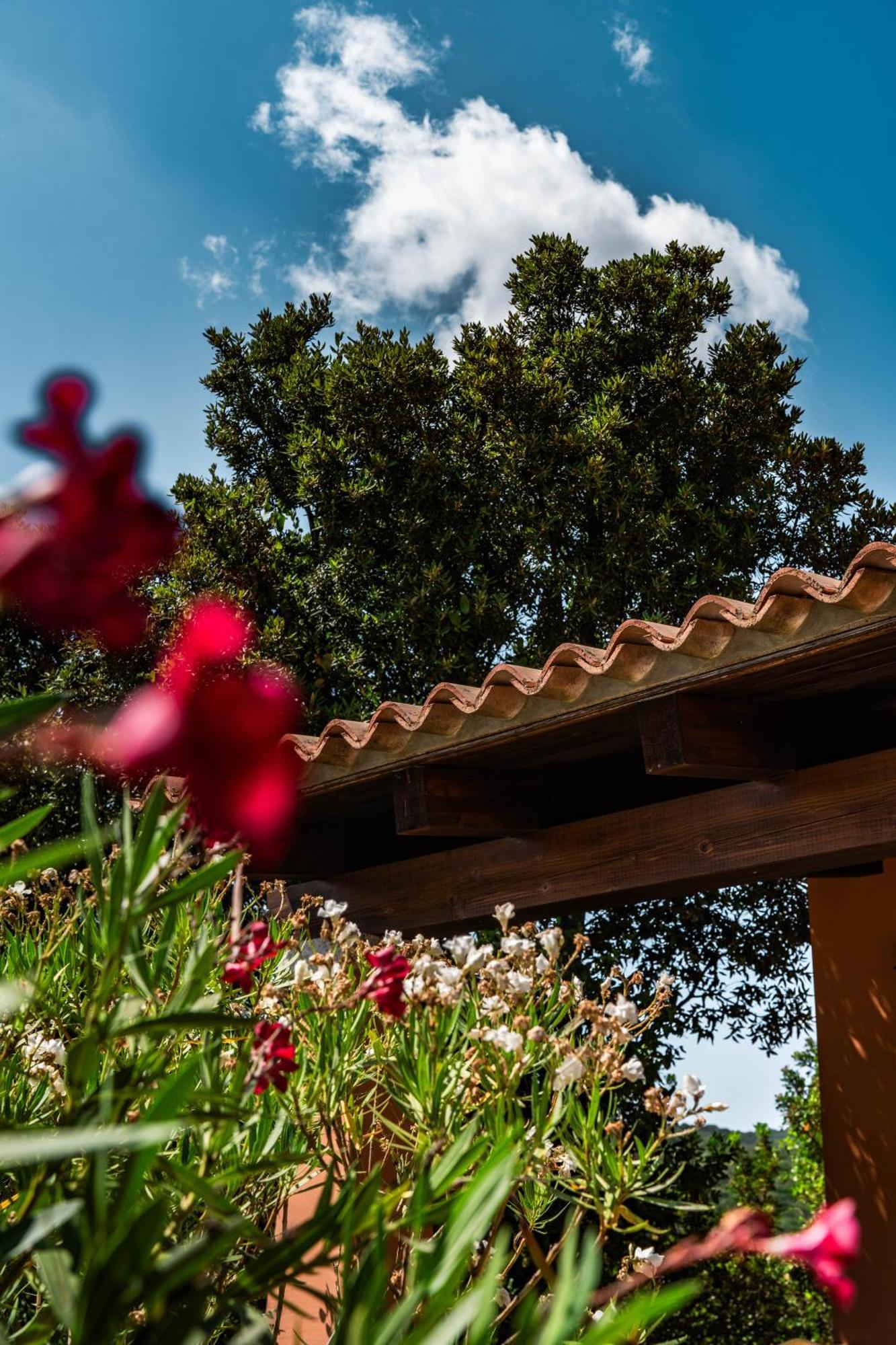 Casagliana Suite Resort Olbia Bagian luar foto