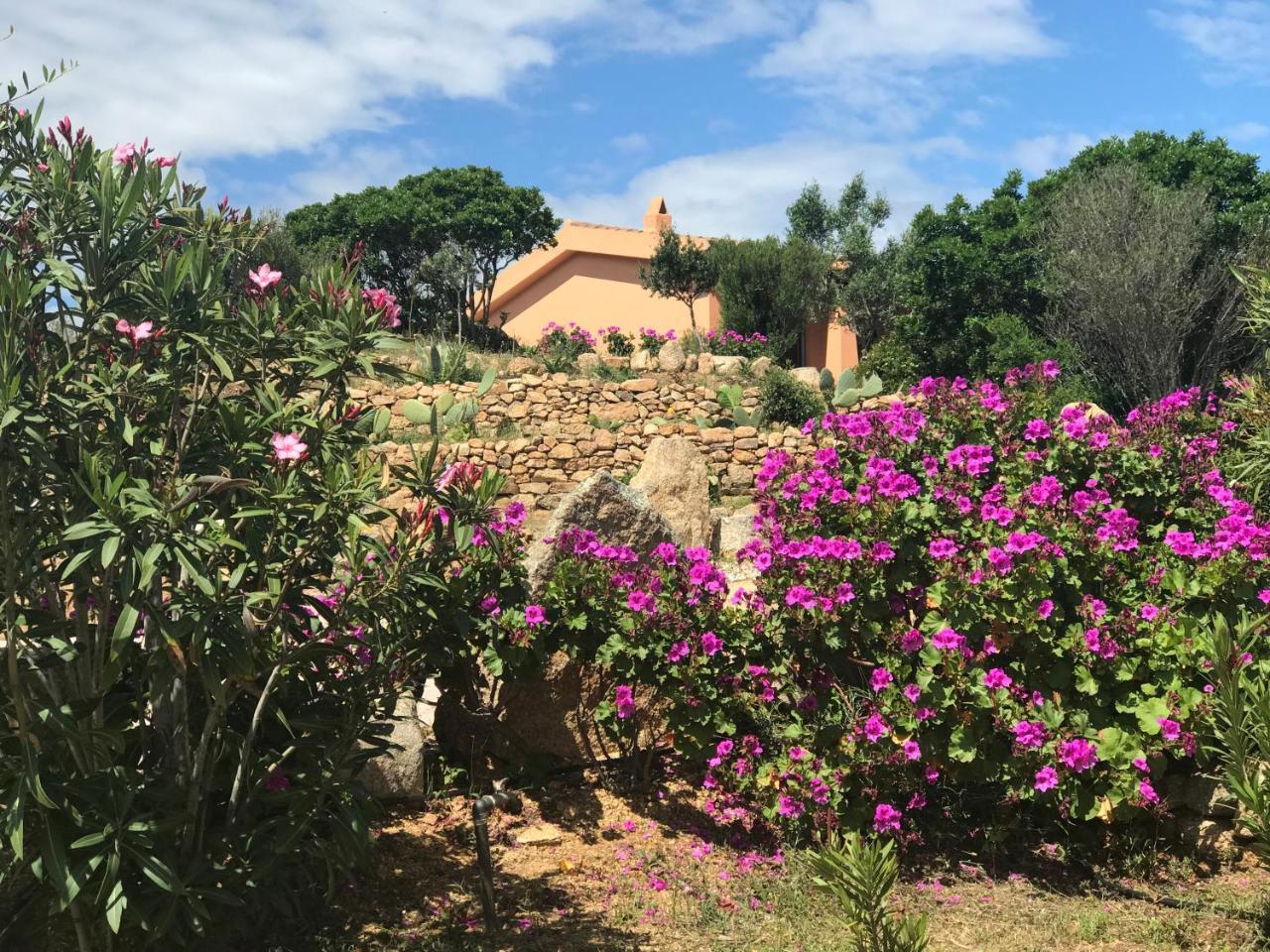 Casagliana Suite Resort Olbia Bagian luar foto